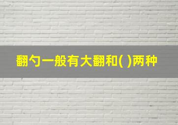 翻勺一般有大翻和( )两种